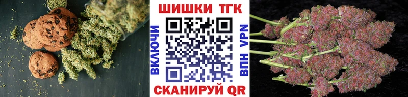 закладка  Жердевка  Canna-Cookies марихуана 