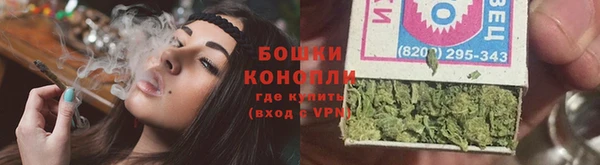 гидра Михайловка