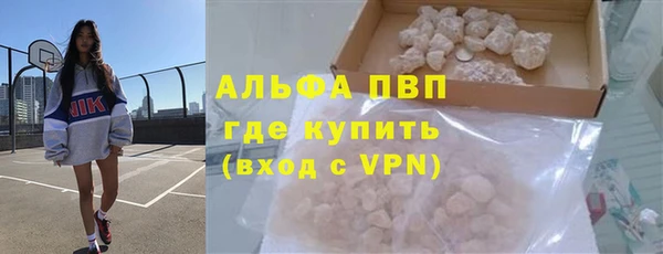 гидра Михайловка