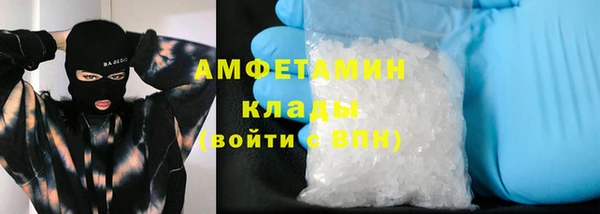 гидра Михайловка