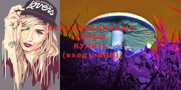 гидра Михайловка