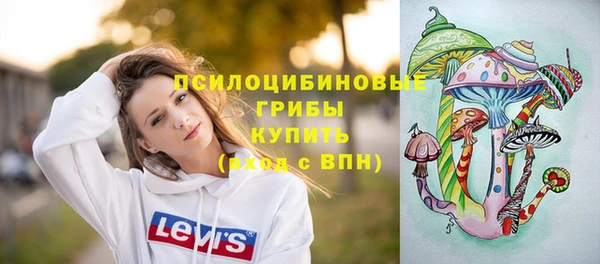 гидра Михайловка