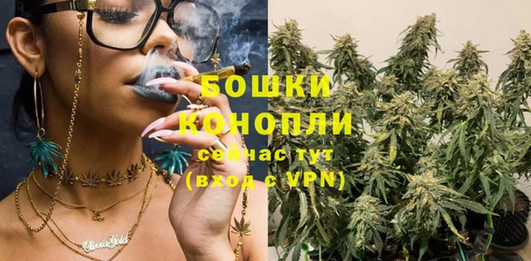 PSILOCYBIN Дмитриев