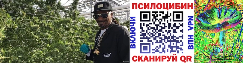 как найти закладки  Жердевка  KRAKEN рабочий сайт  Галлюциногенные грибы прущие грибы 